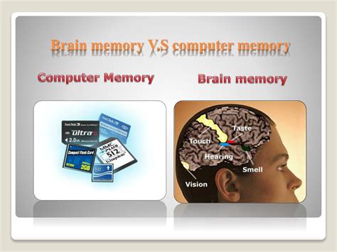 memory slots compared to human body|The brain's RAM .